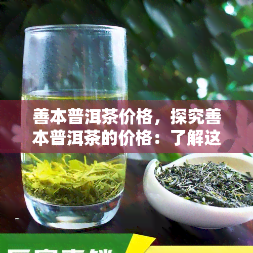 善本普洱茶价格，探究善本普洱茶的价格：了解这款珍贵茶叶的市场价值