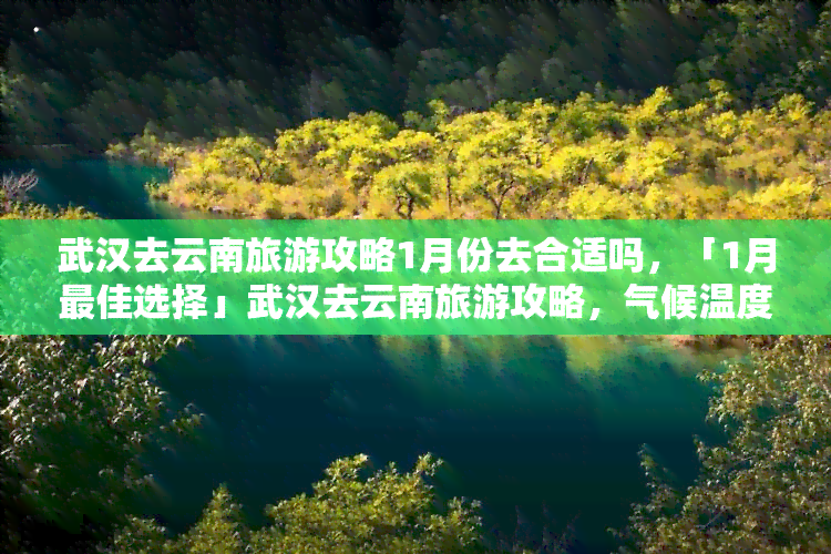 武汉去云南旅游攻略1月份去合适吗，「1月更佳选择」武汉去云南旅游攻略，气候温度适宜，景点美不胜收！