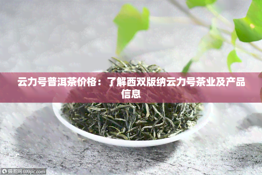 云力号普洱茶价格：了解西双版纳云力号茶业及产品信息