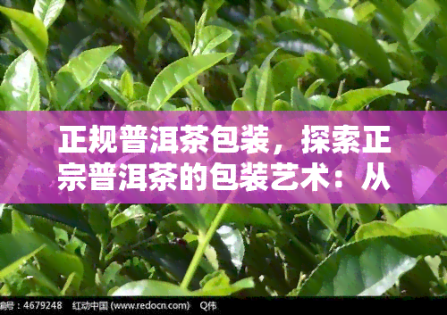 正规普洱茶包装，探索正宗普洱茶的包装艺术：从选材到设计的全过程解析