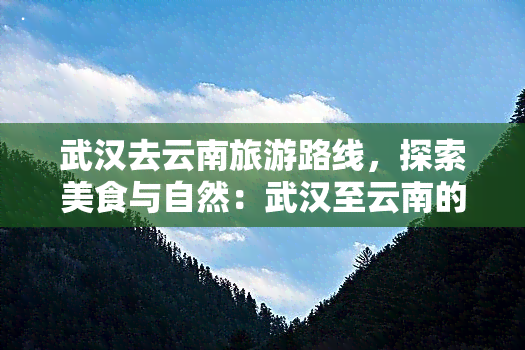 武汉去云南旅游路线，探索美食与自然：武汉至云南的旅行线路推荐