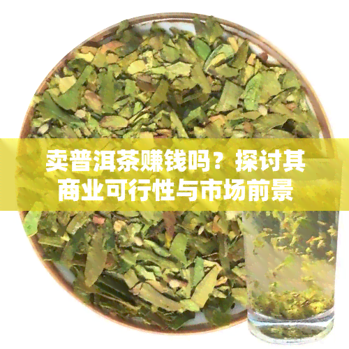 卖普洱茶赚钱吗？探讨其商业可行性与市场前景