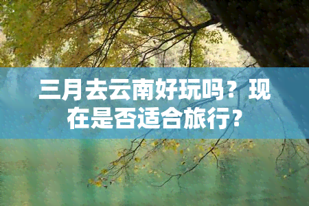 三月去云南好玩吗？现在是否适合旅行？