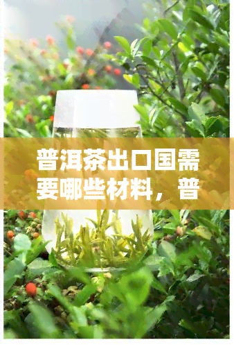 普洱茶出口国需要哪些材料，普洱茶出口国：所需材料一览