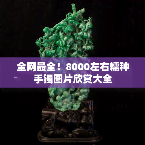 全网最全！8000左右糯种手镯图片欣赏大全