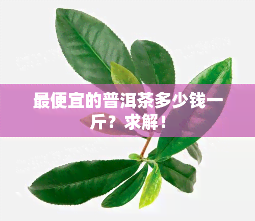 更便宜的普洱茶多少钱一斤？求解！