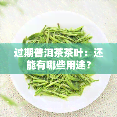 过期普洱茶茶叶：还能有哪些用途？