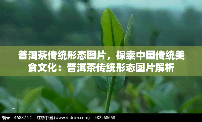 普洱茶传统形态图片，探索中国传统美食文化：普洱茶传统形态图片解析