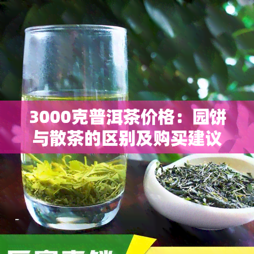 3000克普洱茶价格：园饼与散茶的区别及购买建议