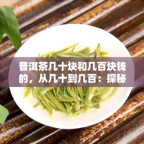 普洱茶几十块和几百块钱的，从几十到几百：探秘普洱茶价格差异背后的原因