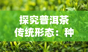 探究普洱茶传统形态：种类与特点全解析