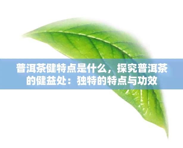 普洱茶健特点是什么，探究普洱茶的健益处：独特的特点与功效