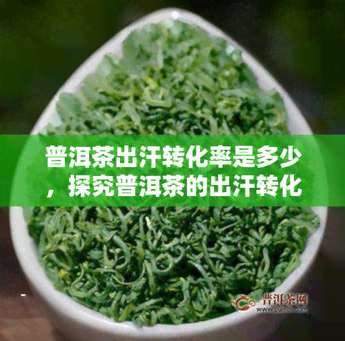 普洱茶出汗转化率是多少，探究普洱茶的出汗转化率