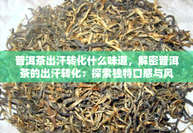 普洱茶出汗转化什么味道，解密普洱茶的出汗转化：探索独特口感与风味的秘密