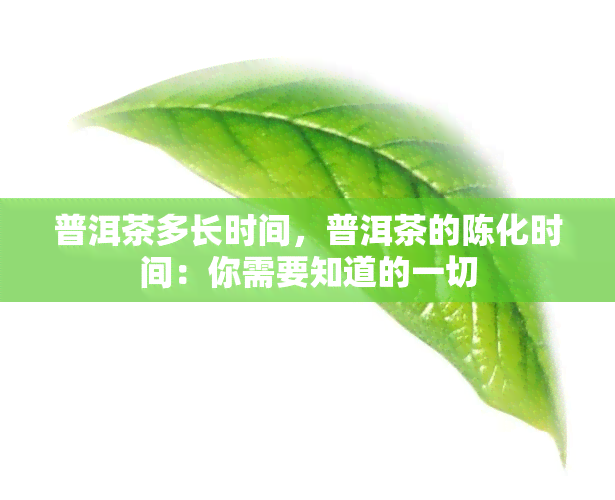 普洱茶多长时间，普洱茶的陈化时间：你需要知道的一切