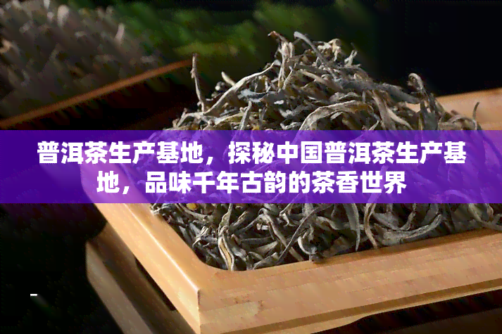 普洱茶生产基地，探秘中国普洱茶生产基地，品味千年古韵的茶香世界