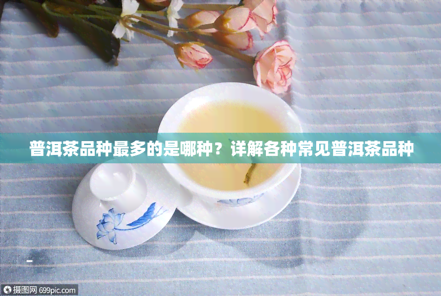 普洱茶品种最多的是哪种？详解各种常见普洱茶品种