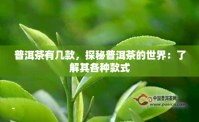 普洱茶有几款，探秘普洱茶的世界：了解其各种款式