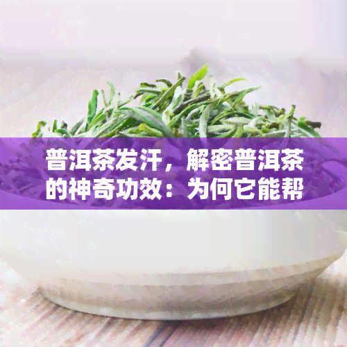 普洱茶发汗，解密普洱茶的神奇功效：为何它能帮助身体“发汗”？