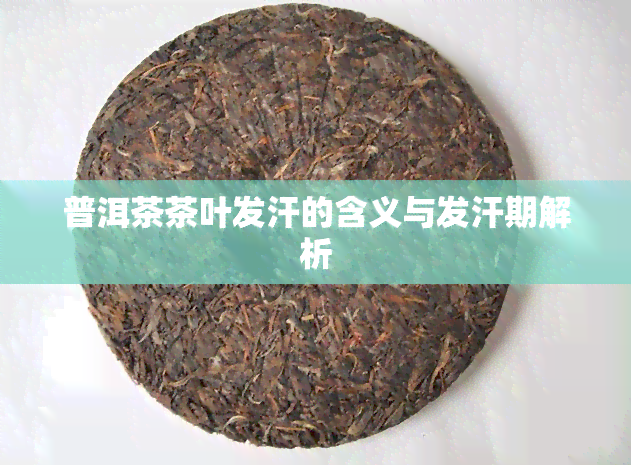 普洱茶茶叶发汗的含义与发汗期解析