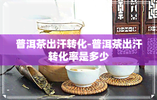 普洱茶出汗转化-普洱茶出汗转化率是多少