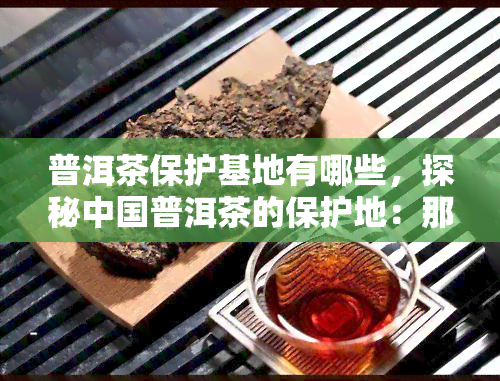 普洱茶保护基地有哪些，探秘中国普洱茶的保护地：那些你不可错过的茶叶宝库