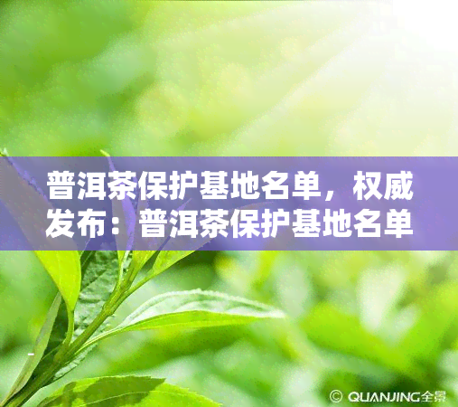 普洱茶保护基地名单，权威发布：普洱茶保护基地名单出炉，带你了解珍稀茶叶的生长环境与保护措