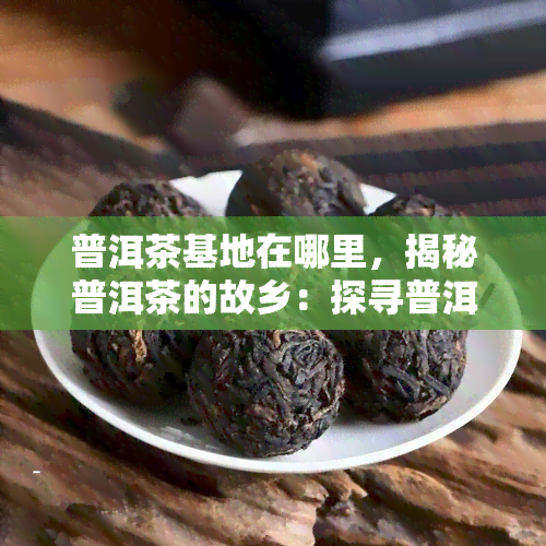 普洱茶基地在哪里，揭秘普洱茶的故乡：探寻普洱茶基地的地理位置