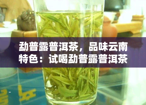 勐普露普洱茶，品味云南特色：试喝勐普露普洱茶