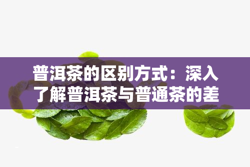 普洱茶的区别方式：深入了解普洱茶与普通茶的差异