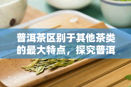 普洱茶区别于其他茶类的更大特点，探究普洱茶的独特之处：与其他茶类的主要区别