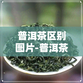 普洱茶区别图片-普洱茶区别图片及价格