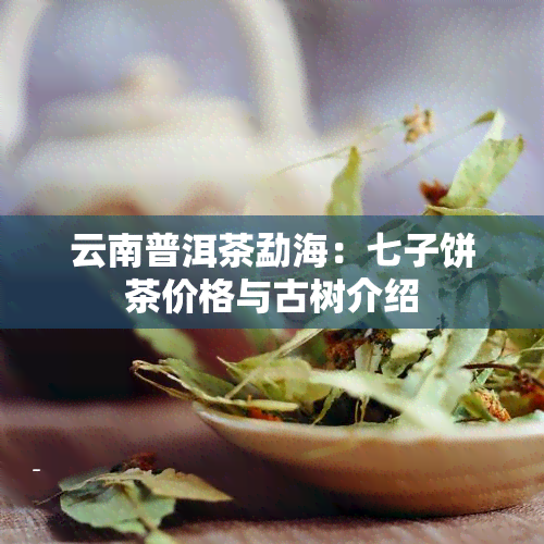 云南普洱茶勐海：七子饼茶价格与古树介绍