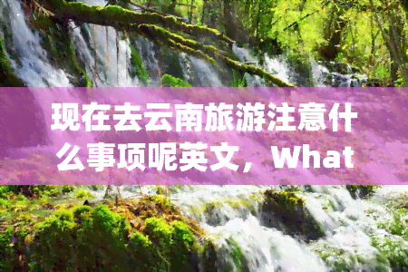 现在去云南旅游注意什么事项呢英文，What should I pay attention to when traveling to Yunnan Province now?