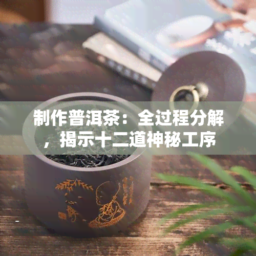 制作普洱茶：全过程分解，揭示十二道神秘工序