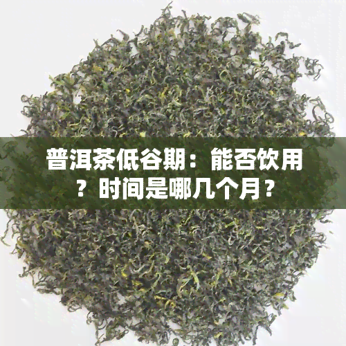 普洱茶低谷期：能否饮用？时间是哪几个月？