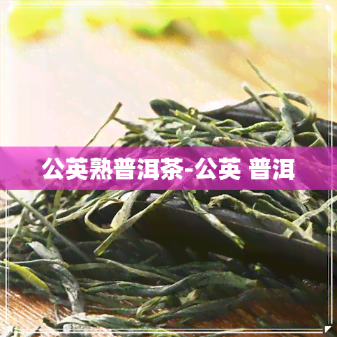 公英熟普洱茶-公英 普洱