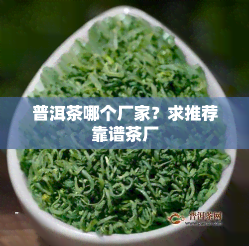 普洱茶哪个厂家？求推荐靠谱茶厂