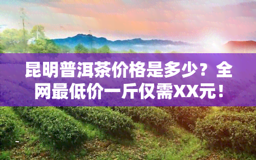 昆明普洱茶价格是多少？全网更低价一斤仅需XX元！