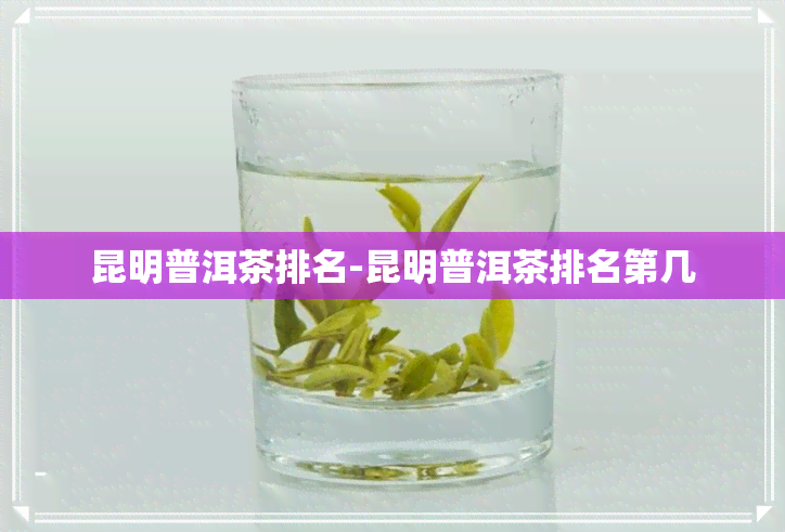 昆明普洱茶排名-昆明普洱茶排名第几