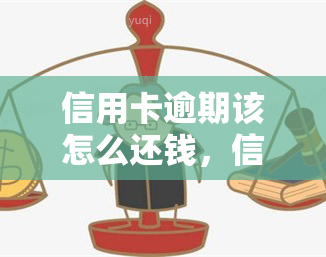 信用卡逾期该怎么还钱，信用卡逾期还款攻略：教你如何妥善处理欠款