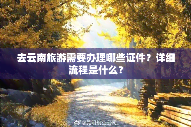 去云南旅游需要办理哪些证件？详细流程是什么？