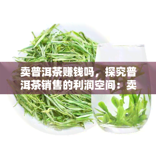 卖普洱茶赚钱吗，探究普洱茶销售的利润空间：卖普洱茶能赚钱吗？