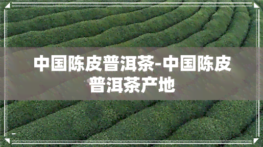 中国陈皮普洱茶-中国陈皮普洱茶产地