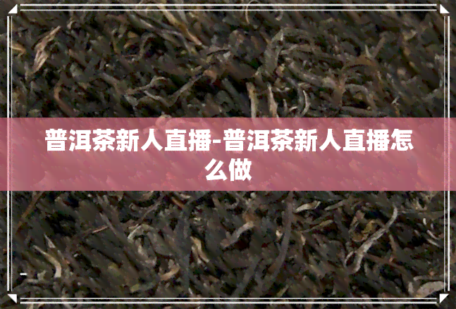 普洱茶新人直播-普洱茶新人直播怎么做