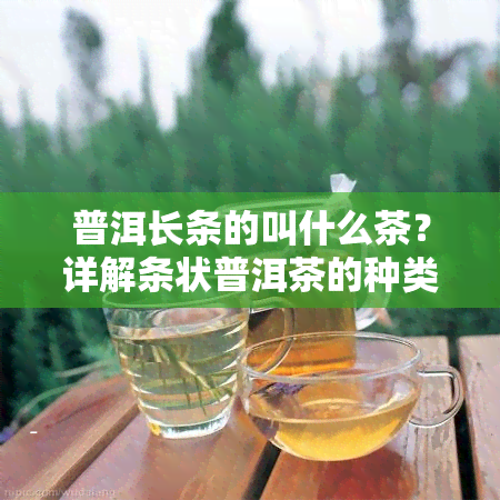 普洱长条的叫什么茶？详解条状普洱茶的种类与特点