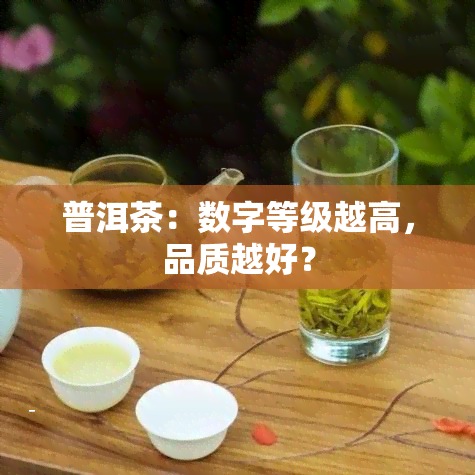 普洱茶：数字等级越高，品质越好？