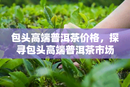 包头高端普洱茶价格，探寻包头高端普洱茶市场：价格行情解析与品鉴指南