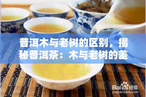 普洱木与老树的区别，揭秘普洱茶：木与老树的差异在哪里？