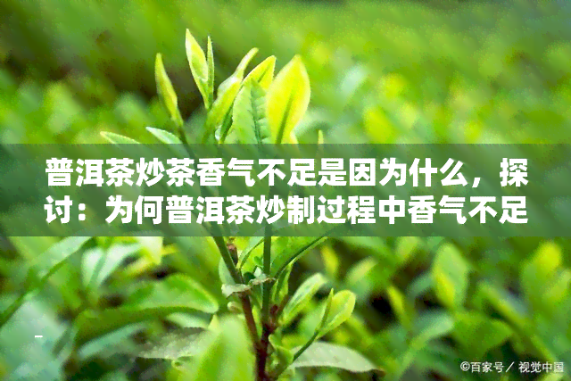 普洱茶炒茶香气不足是因为什么，探讨：为何普洱茶炒制过程中香气不足？